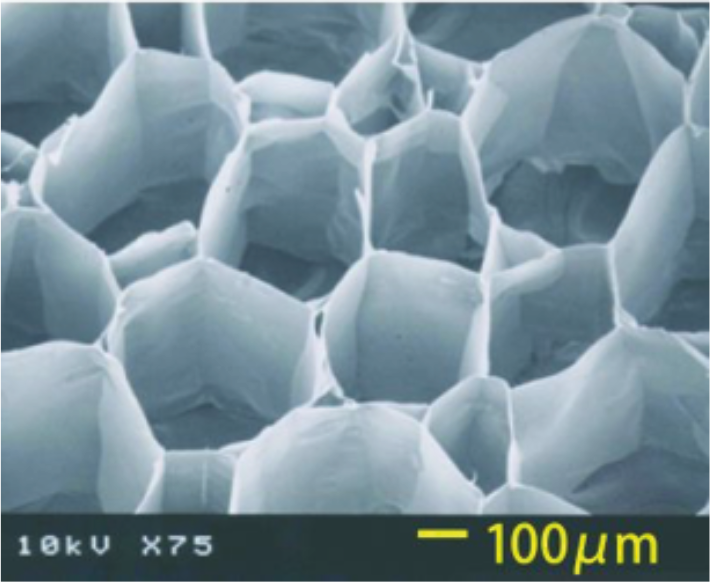 BioServe Biotechnologies India Pvt. Ltd. Atelocollagen Honeycomb Sponge