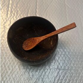 RichForth LTD Biodegradable Coconut Shell Bowl Style Decoration Ornament Storage Coconut Bowl for Gift