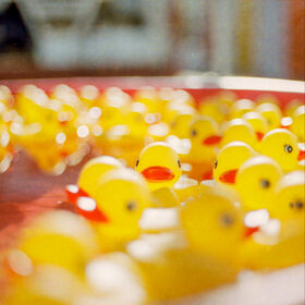Alliance Trading Private Limited NGSOL VickyDuck 491