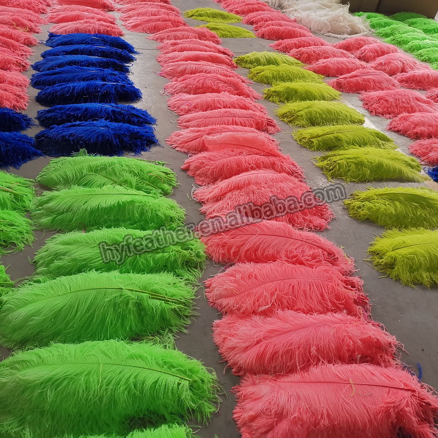 Cixi Hong Yuan Feather Products Co., Ltd. Wholesale DIY centerpieces pink feather craft home wedding decor plumes large red bulk wing ostrich feathers for party supply