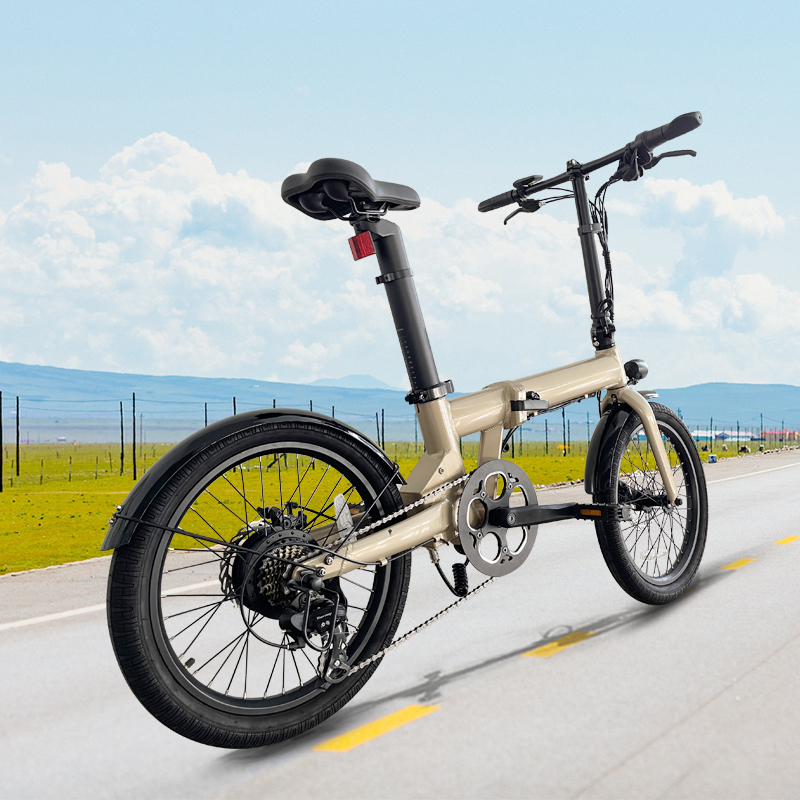 Changzhou Hoya High-Tech Co., Ltd. Factory Cheap Price 20" rear hub motor e bikes 2023 electric bicycle e electric bicycle two wheel lady with lithium battery