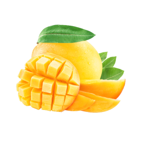 Green Point for Import and Export Mango
