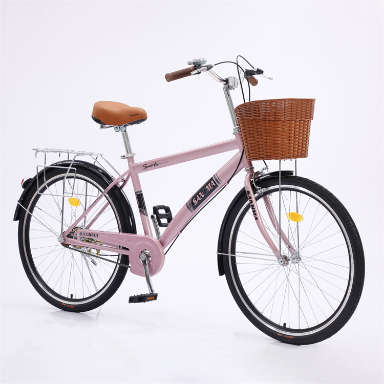 Hebei Xinuonuo Vehicle Industry Co., Ltd. Men's & Women's Single Speed Road Bicycle Free Shipping Indoor Sports Bike with Lighting Bike Stand
