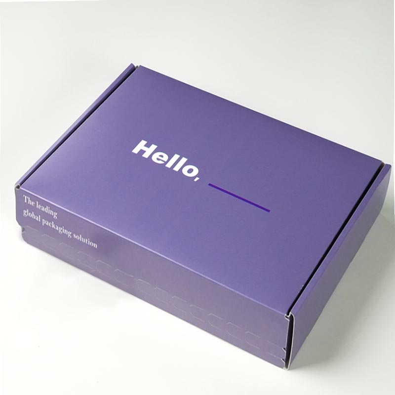Shanghai Forests Packaging Group Co., Ltd. Spot Aircraft Carton High quality durable kraft paper corrugated board packaging mail shipping box custom wholesale
