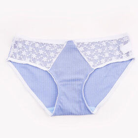 Shanghai Jspeed Industry Co., Ltd. Custom soft hipster cotton lace women Panties with custom label