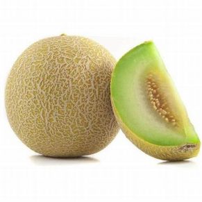 Green Point for Import and Export Melon