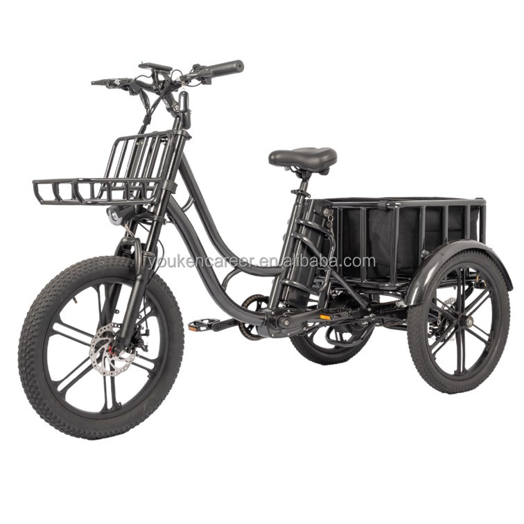 Anhui Youken Trading Co., Ltd. 48V 500W motor bike electric bicycle hot sale ebike three wheels trike tricycle elecbuff yiyken brand for sale cargo bike